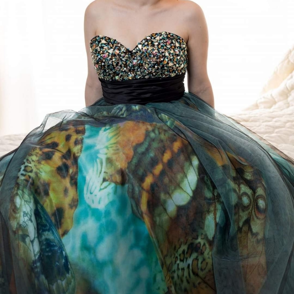 Disney into the woods dress